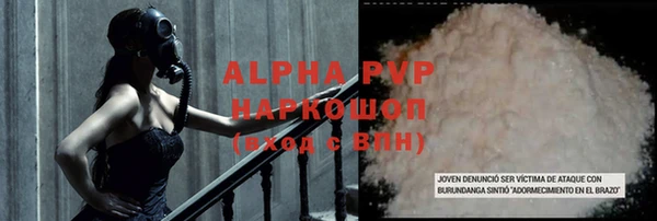 дмт Белокуриха