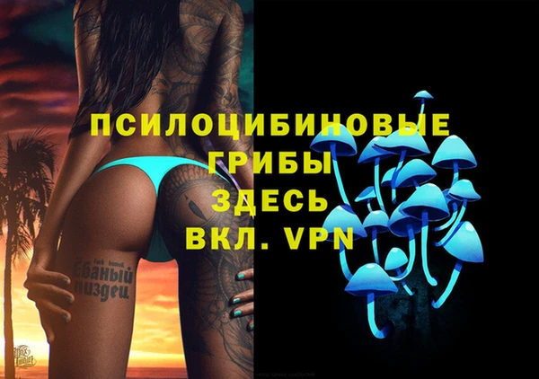 таблы Богородицк
